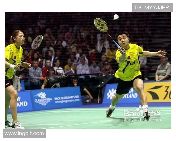 杭州羽毛球队区域防守策略创新探索与实践分析